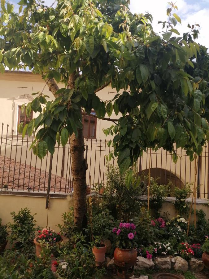 B&B Bone Novelle Dimora Storica Palazzo Zuzi LʼAquila Exterior foto